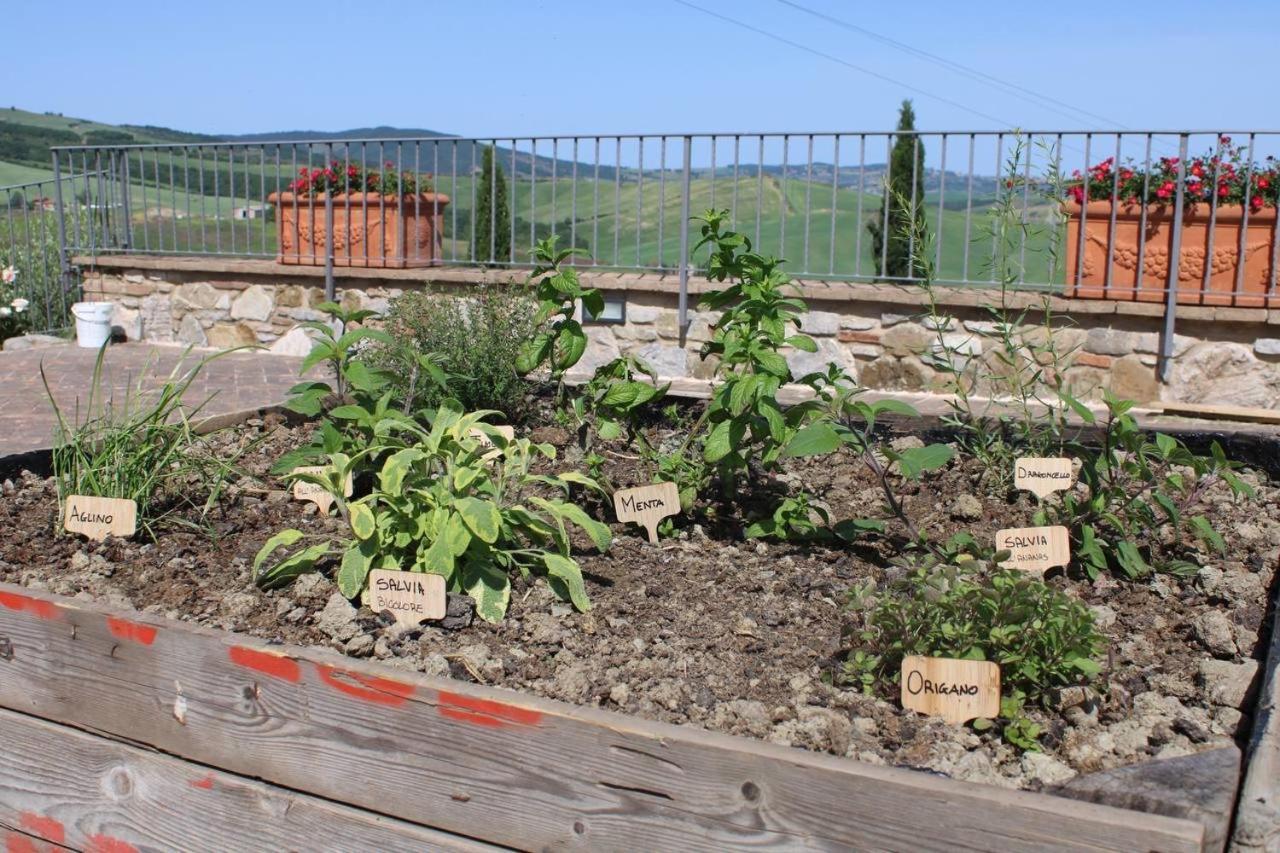 Agriturismo La Paciarella Βίλα Campiglia dʼOrcia Εξωτερικό φωτογραφία
